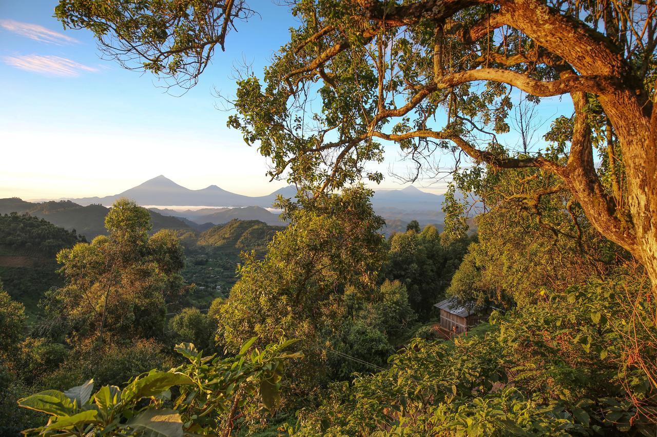 Nkuringo Bwindi Gorilla Lodge Bwindi Impenetrable Park Exterior photo