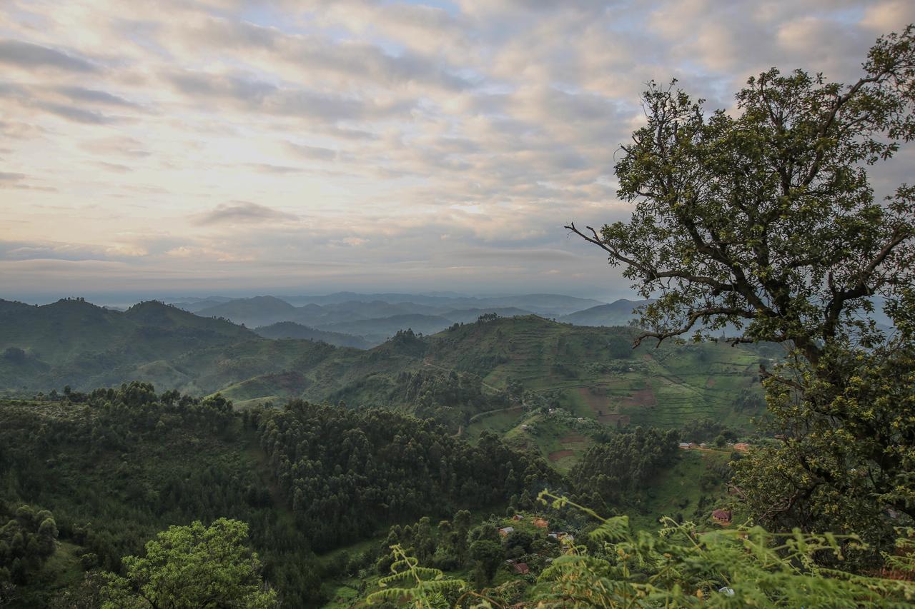 Nkuringo Bwindi Gorilla Lodge Bwindi Impenetrable Park Exterior photo