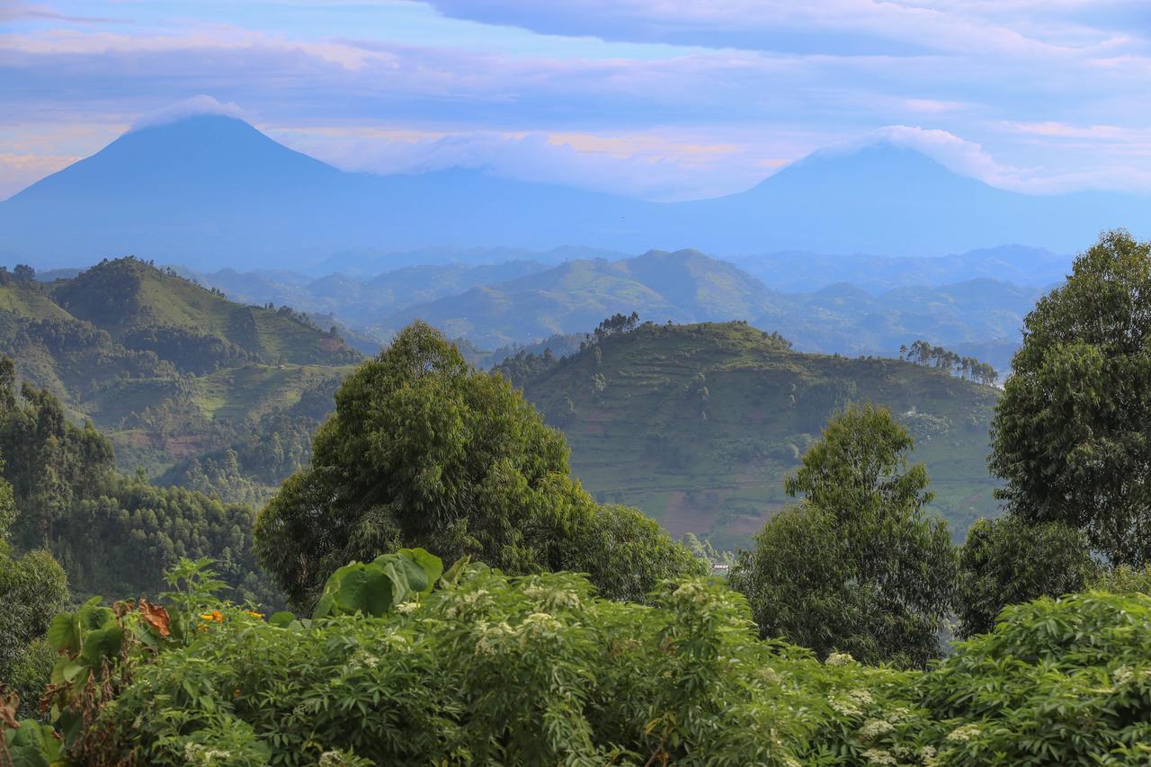 Nkuringo Bwindi Gorilla Lodge Bwindi Impenetrable Park Exterior photo